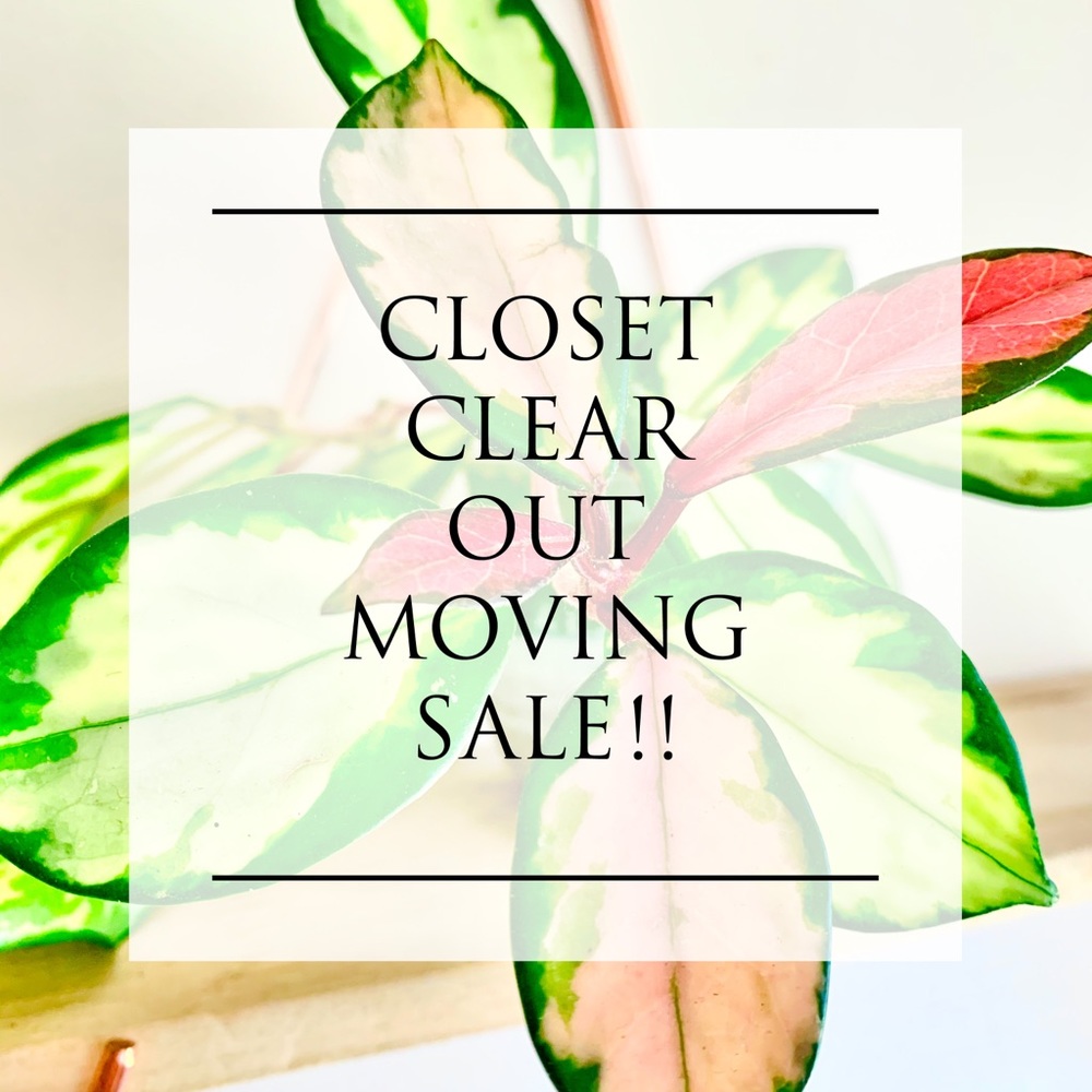 ✨MOVING SALE - OFFERS WELCOME